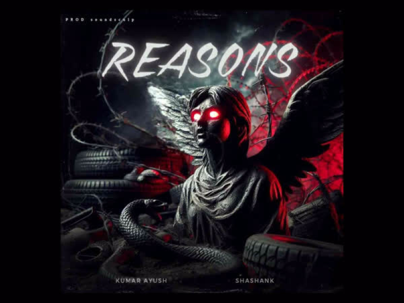 Reasons (Single)