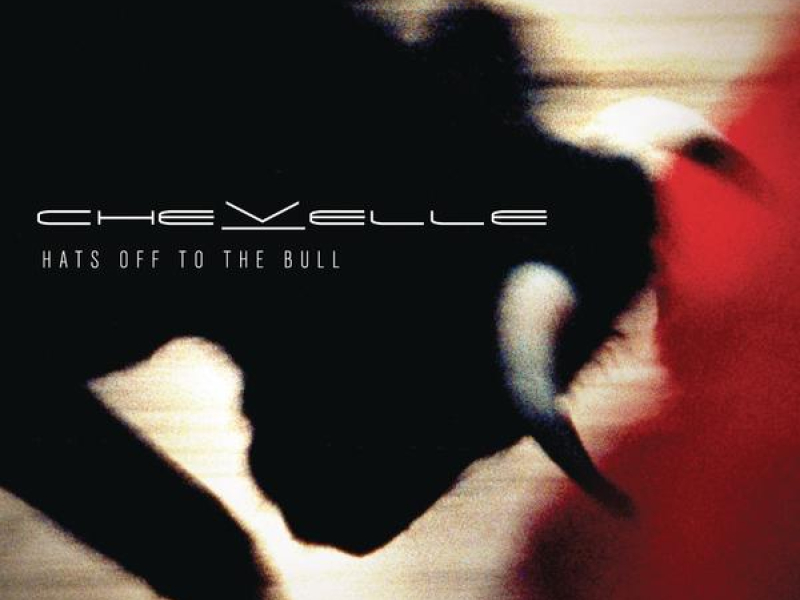 Hats Off to the Bull