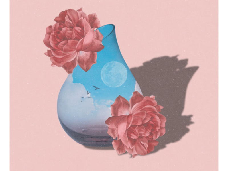 Red Sunflower (Single)