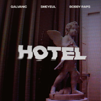 Hotel (Single)