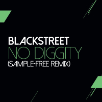 No Diggity (Sam Wilkes & Brian Green Sample Free Remix) (Single)