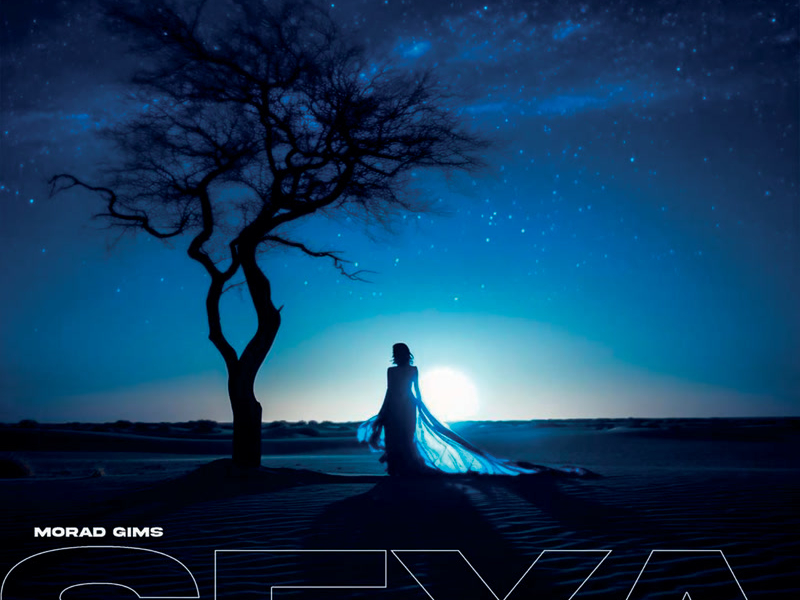Seya (Sped Up) (Single)