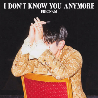 I Don't Know You Anymore (Single)