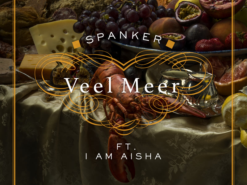 Veel Meer (Single)