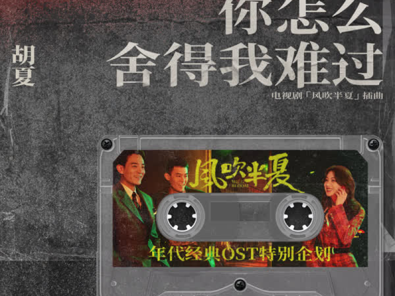 你怎麼捨得我難過 (《風吹半夏》年代經典OST特別企劃) (Single)