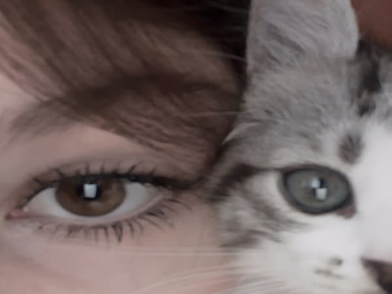 səni çox sevirəm (Single)