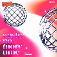 Waste No More Time (Single)