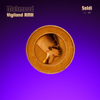 Soldi (Vigiland Remix) (Single)