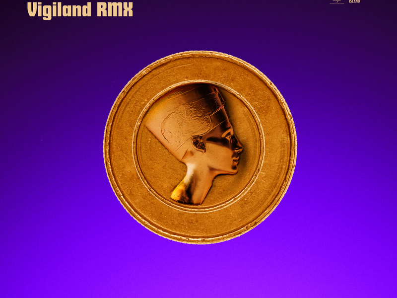 Soldi (Vigiland Remix) (Single)