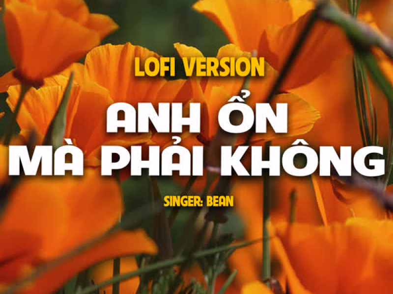 Anh Ổn Mà Phải Không (Lo-Fi) (Single)