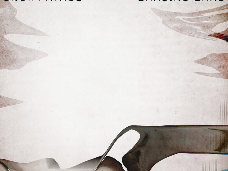 Chasing Cars (Single)