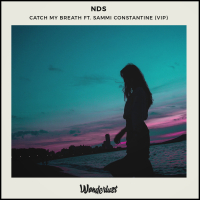 Catch My Breath (VIP) (Single)