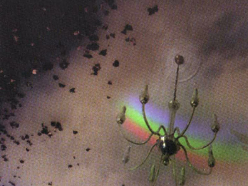 Il Sogno Di Un Piano Veneziano a Parigi