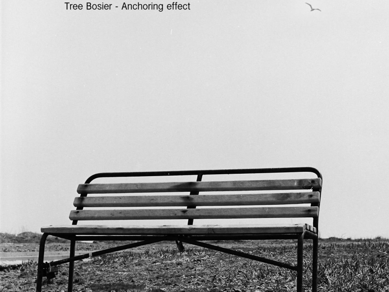 Anchoring Effect (Single)