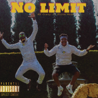 No Limit (Single)