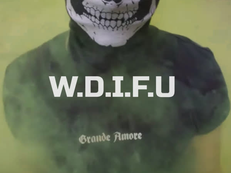 W.D.I.F.U (Single)