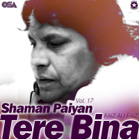 Shaman Paiyan Tere Bina, Vol. 17