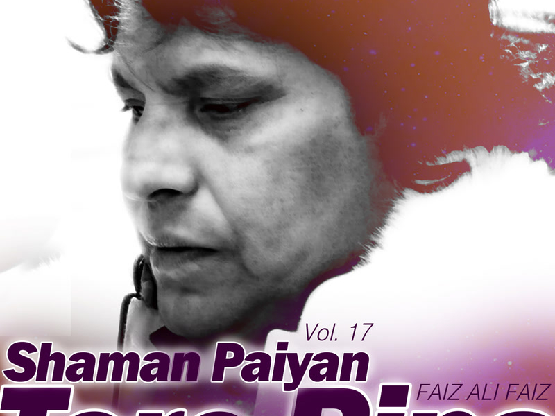 Shaman Paiyan Tere Bina, Vol. 17