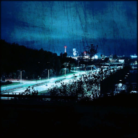 Gray leaves (Single)