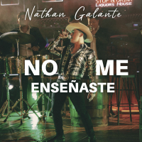 No Me Enseñaste (Single)