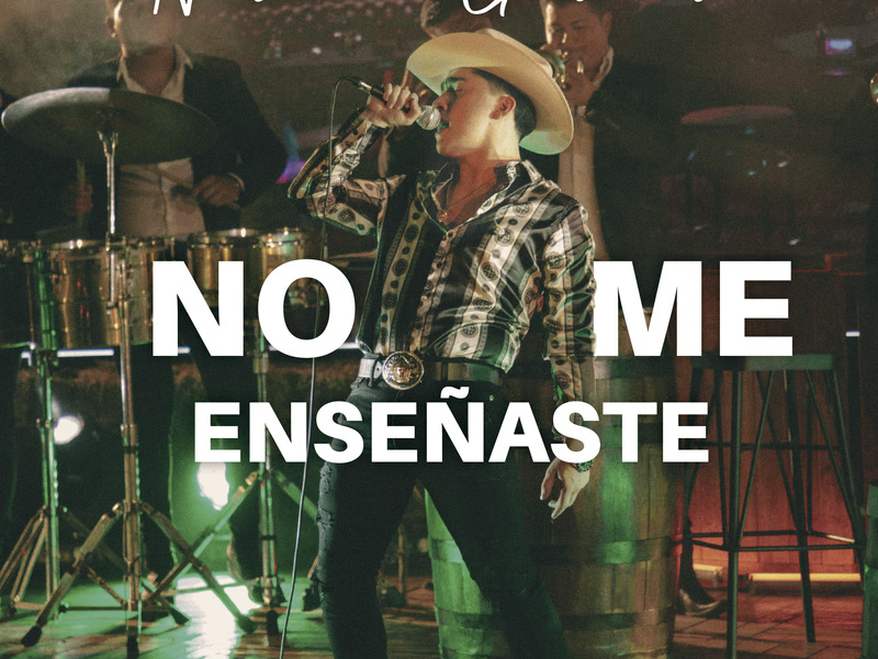 No Me Enseñaste (Single)