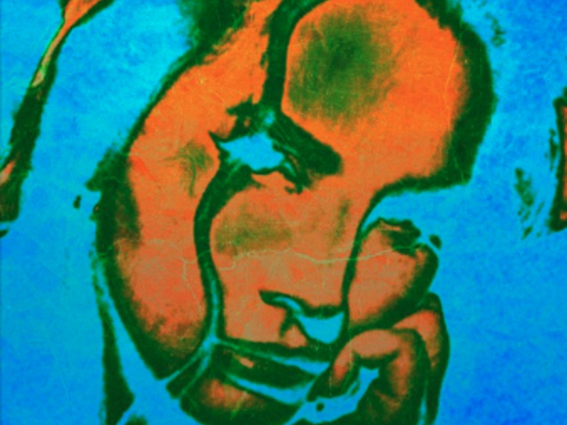 Video Games (Butschi Remix) (Single)