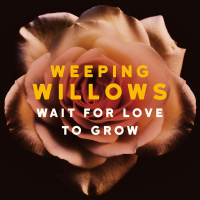 Wait for Love to Grow (Single)