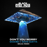 DON'T YOU WORRY (Malaa Remix) (Single)