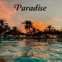 Paradise