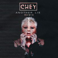 Another Lie (Remix) (Single)