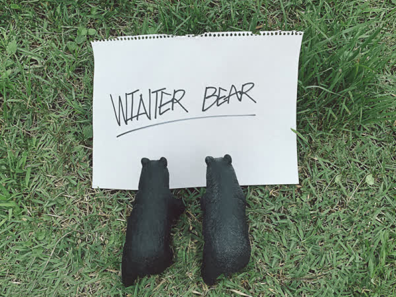 Winter Bear (Single)