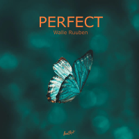 Perfect (Single)