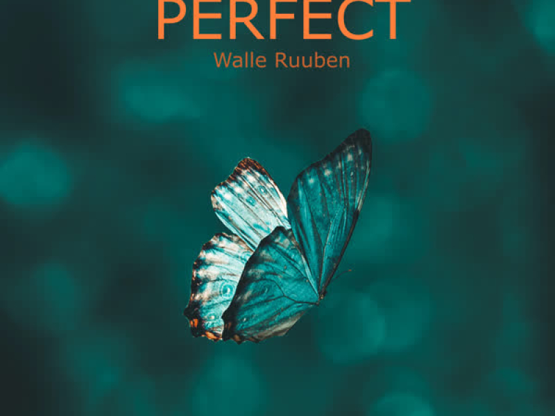 Perfect (Single)