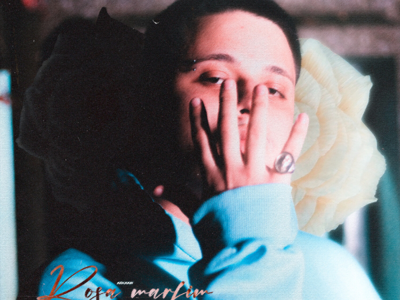 Rosa Marfim (Single)