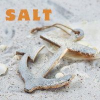 Salt (Single)