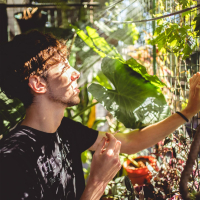 Es una pena (Single)