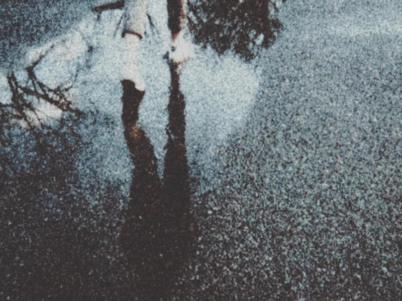 april sunset (Single)