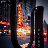 Chicago Bears (Single)