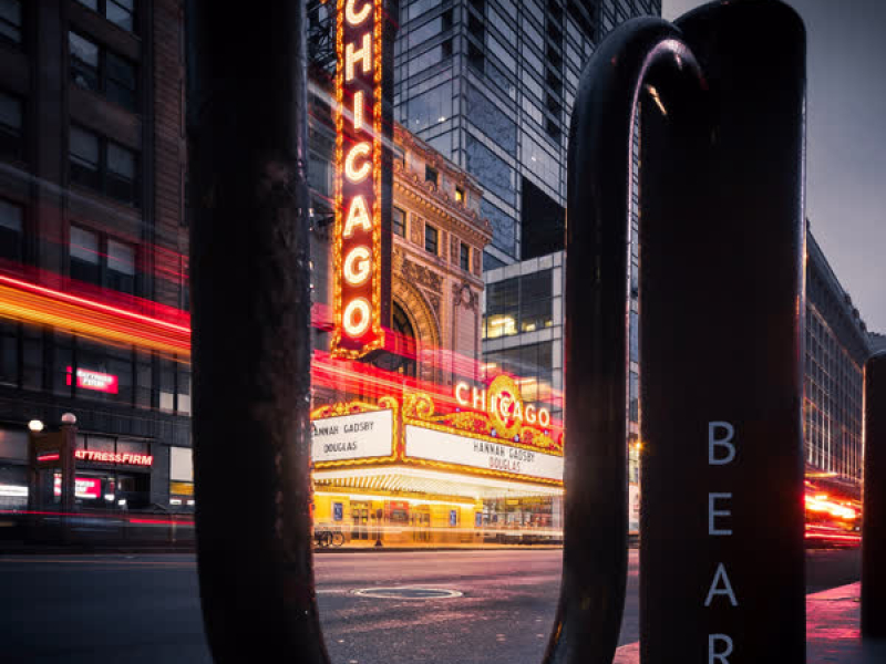 Chicago Bears (Single)