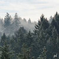 campfire stories (Single)