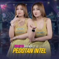 Pedotan Intel (Single)