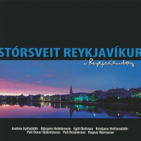 Í Reykjavíkurborg