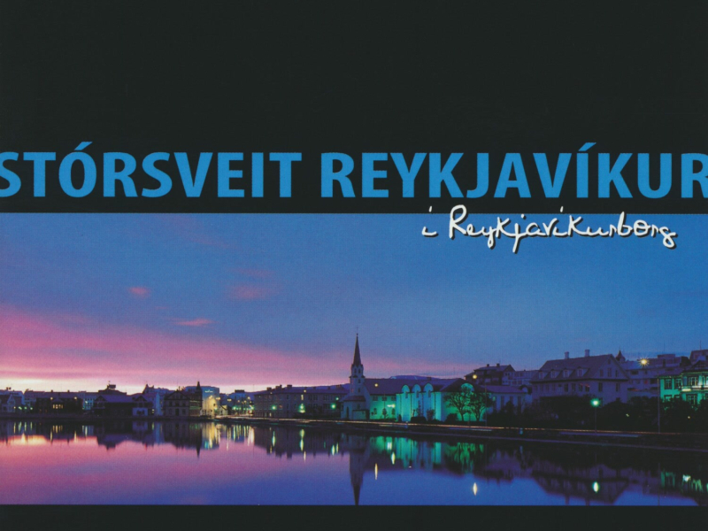 Í Reykjavíkurborg