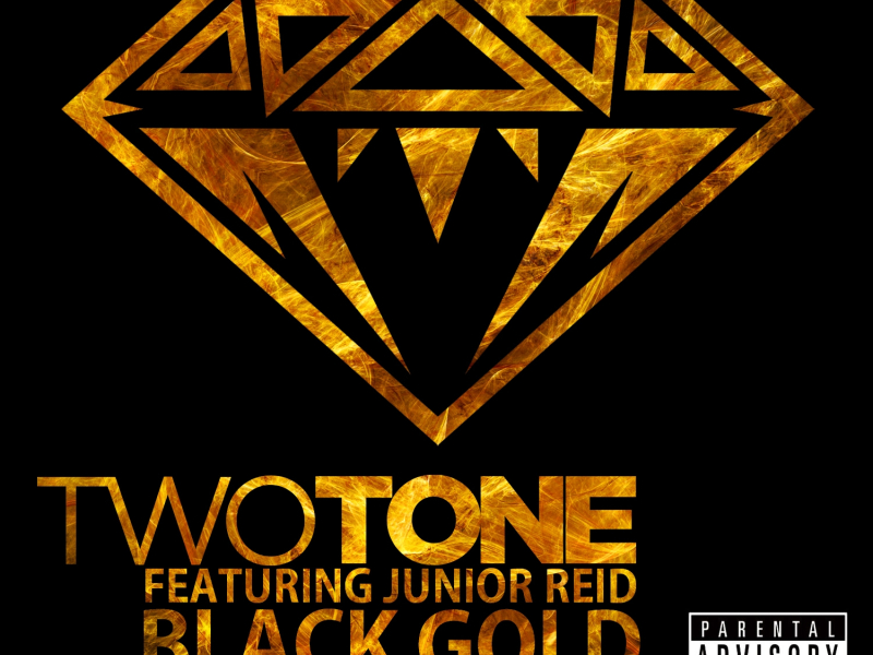 Black Gold (feat. Junior Reid)