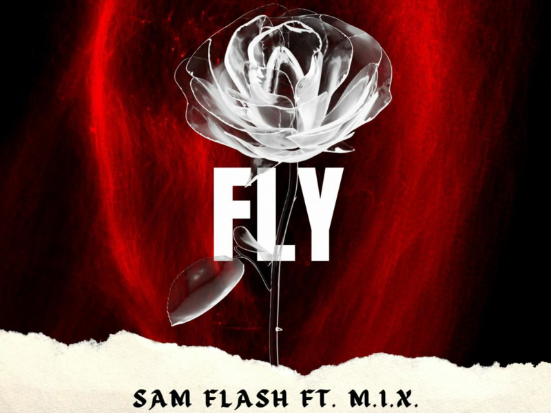 FLY (Single)