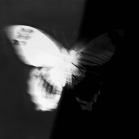 寻找自己的25号底片 (Single)