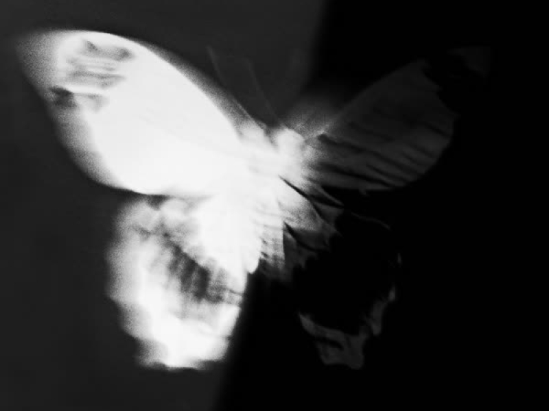 寻找自己的25号底片 (Single)