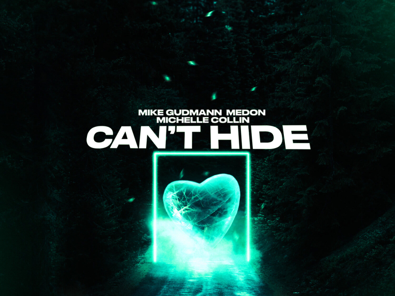 Can't Hide (Single)