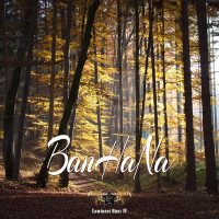 Luminant Opus IV (EP)