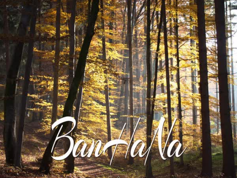 Luminant Opus IV (EP)